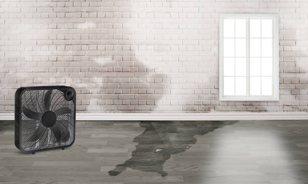 Best Commercial water damage restoration  in Cherry Brah, NC