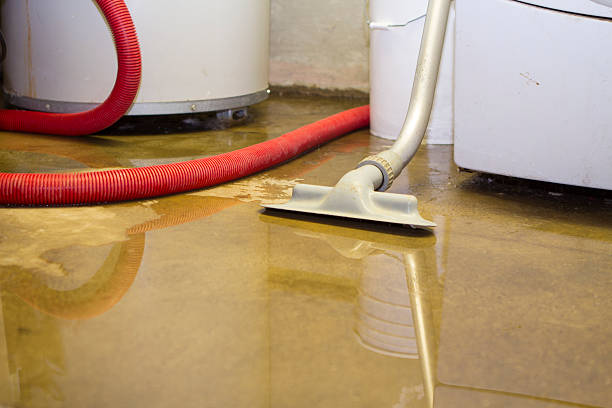 Best 24-hour water damage restoration  in Cherry Brah, NC