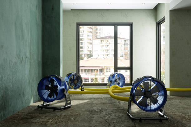 Best Basement water damage restoration  in Cherry Brah, NC